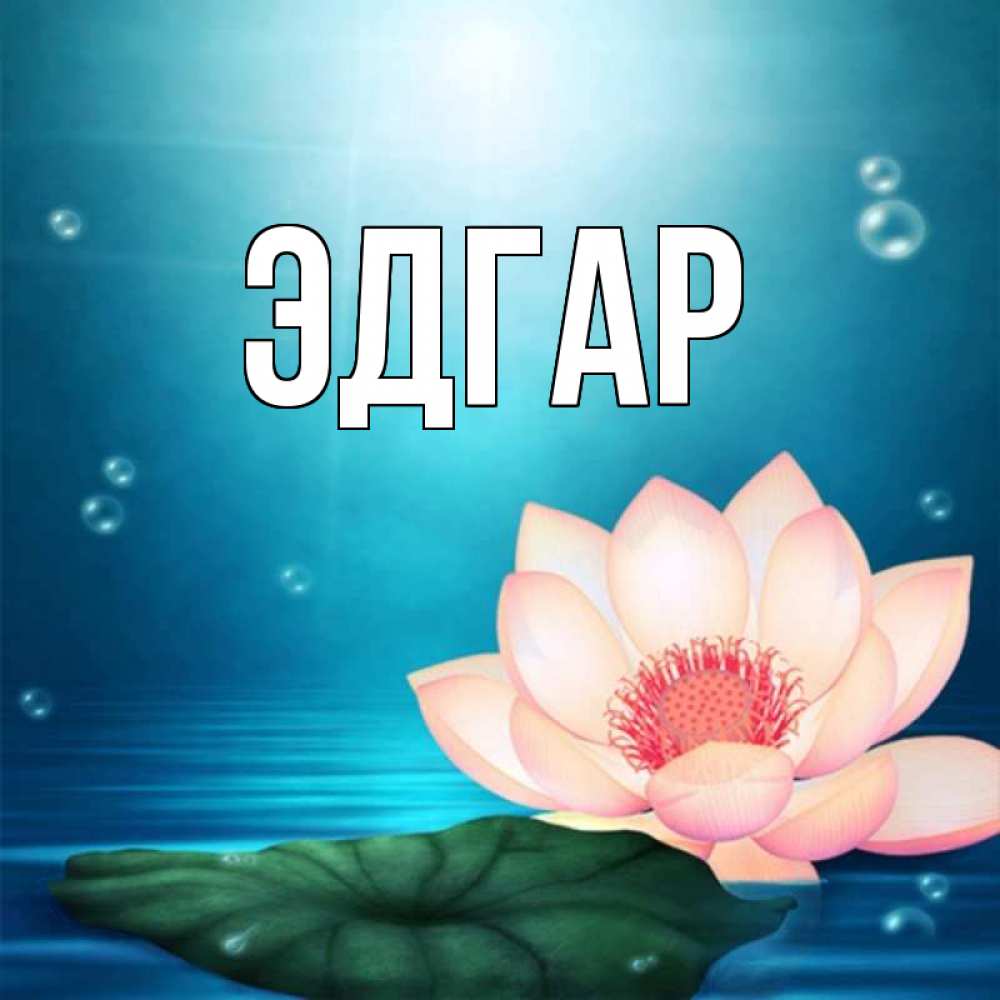 Открытка на каждый день с именем, Эдгар Главная кувшинка Прикольная открытка с пожеланием онлайн скачать бесплатно 