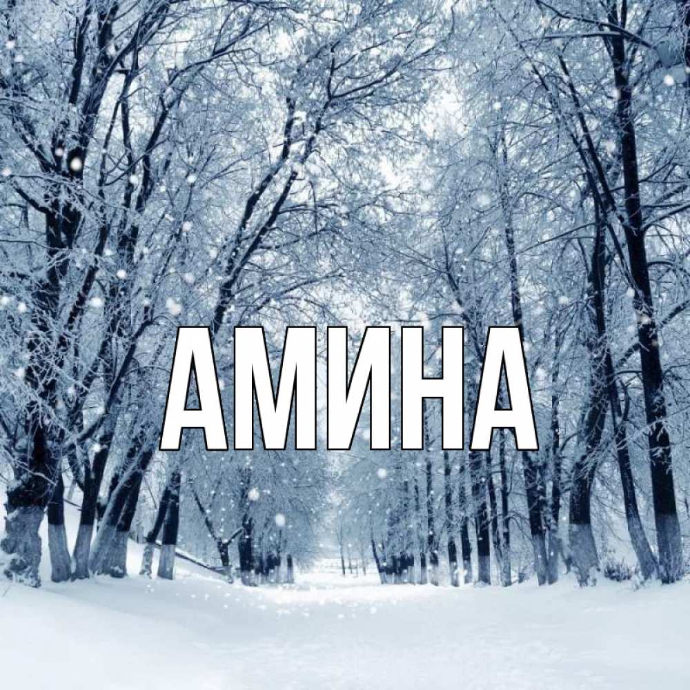 Открытка на каждый день с именем, Амина Главная снег, лес, парк Прикольная открытка с пожеланием онлайн скачать бесплатно 