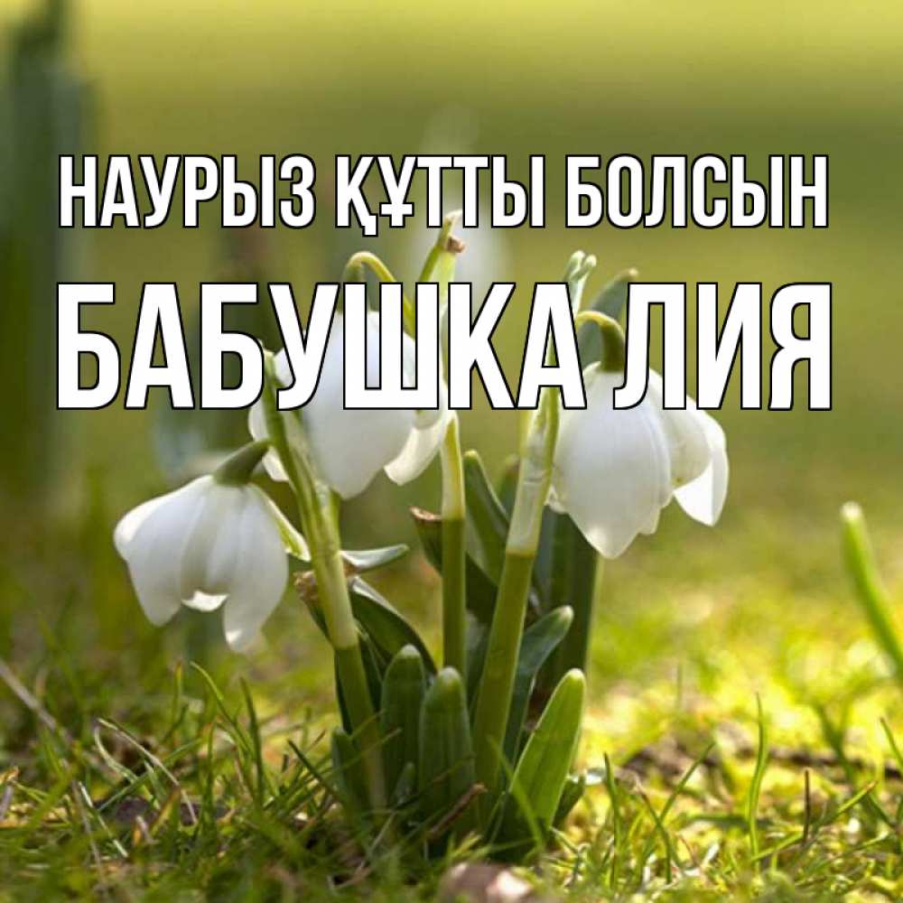Открытка на каждый день с именем, Бабушка-Лия Наурыз құтты болсын ранние цветы 2 Прикольная открытка с пожеланием онлайн скачать бесплатно 