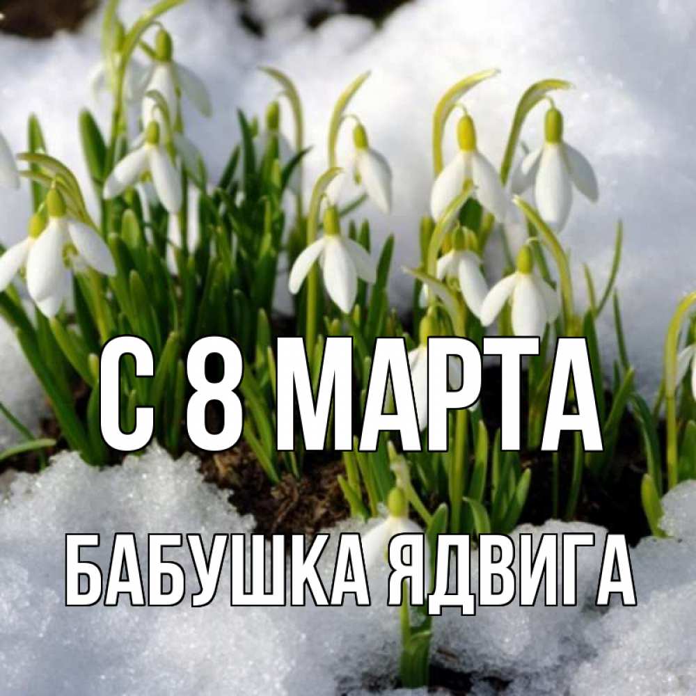 Открытка на каждый день с именем, Бабушка-Ядвига С 8 марта цветы весенние Прикольная открытка с пожеланием онлайн скачать бесплатно 