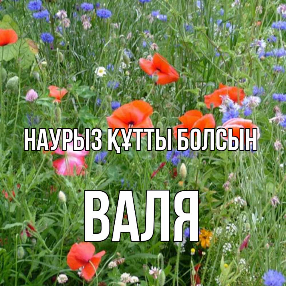 Открытка на каждый день с именем, Валя Наурыз құтты болсын наурыз  4 Прикольная открытка с пожеланием онлайн скачать бесплатно 
