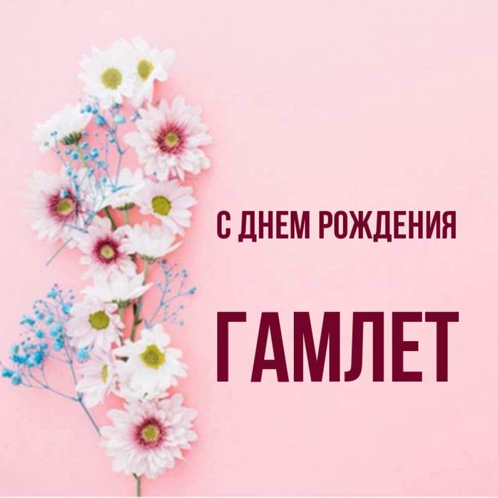 Гамлет С Днем Рождения