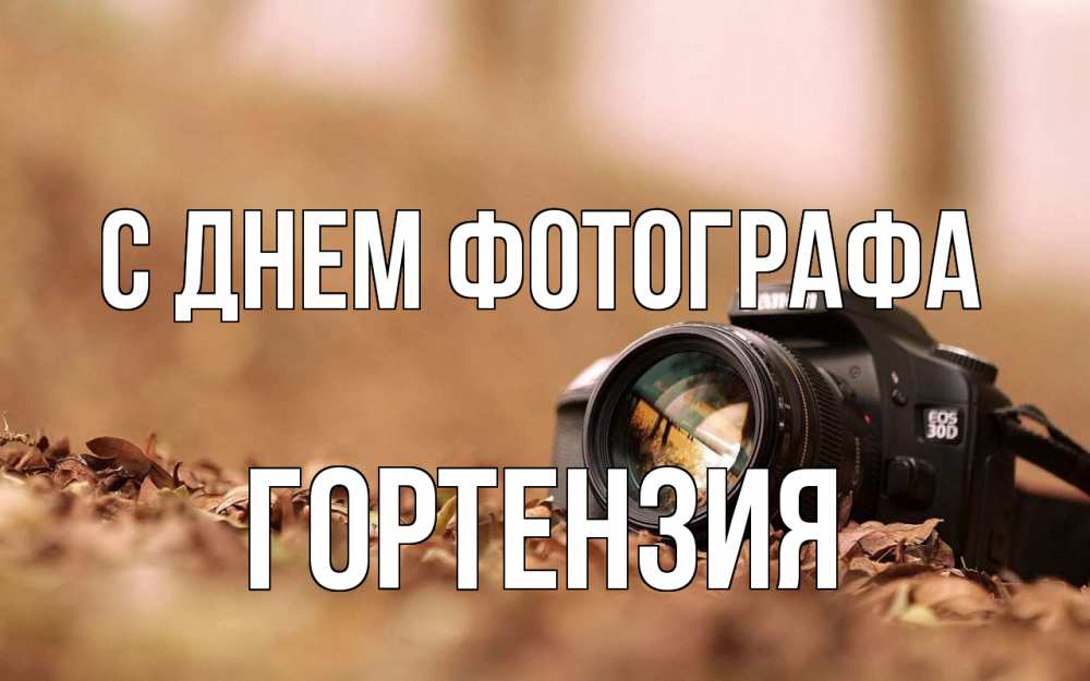 Открытка на каждый день с именем, Гортензия С днем фотографа с днем фотографа Прикольная открытка с пожеланием онлайн скачать бесплатно 
