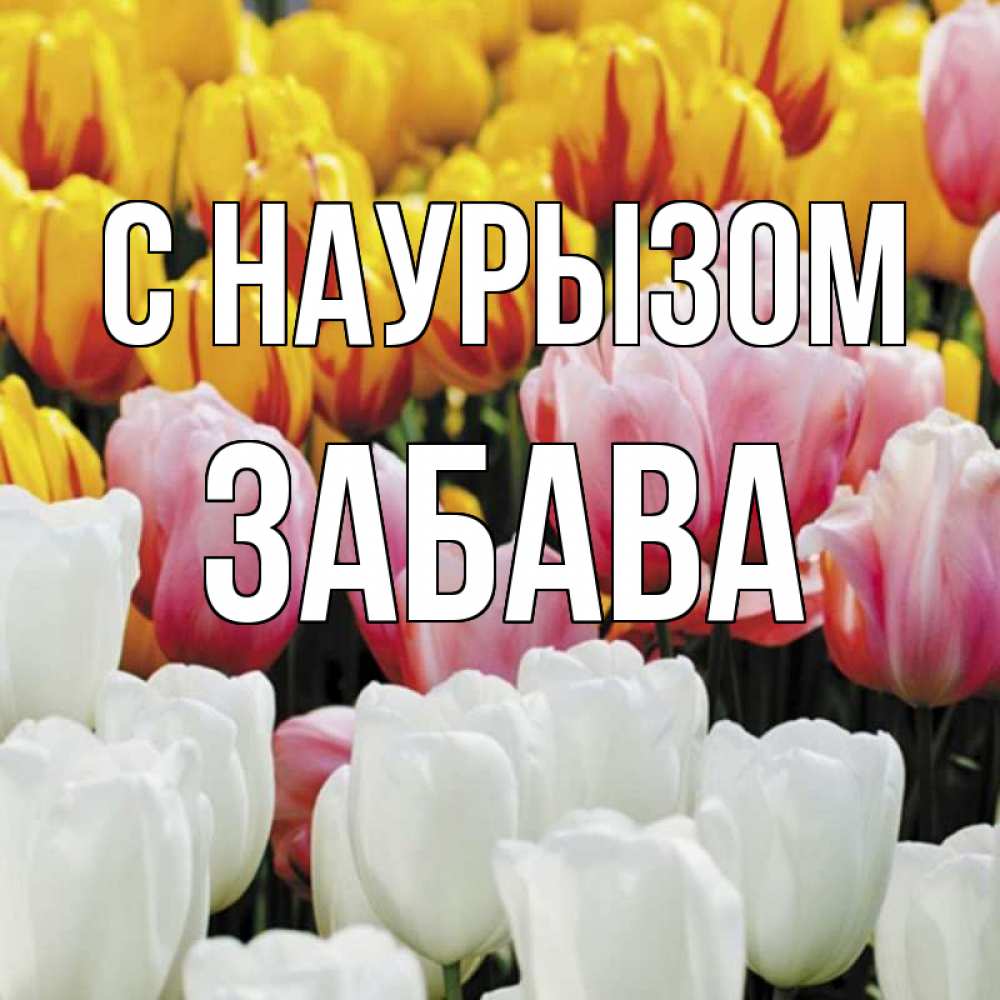 Открытка на каждый день с именем, Забава С наурызом разноцветные цветы Прикольная открытка с пожеланием онлайн скачать бесплатно 