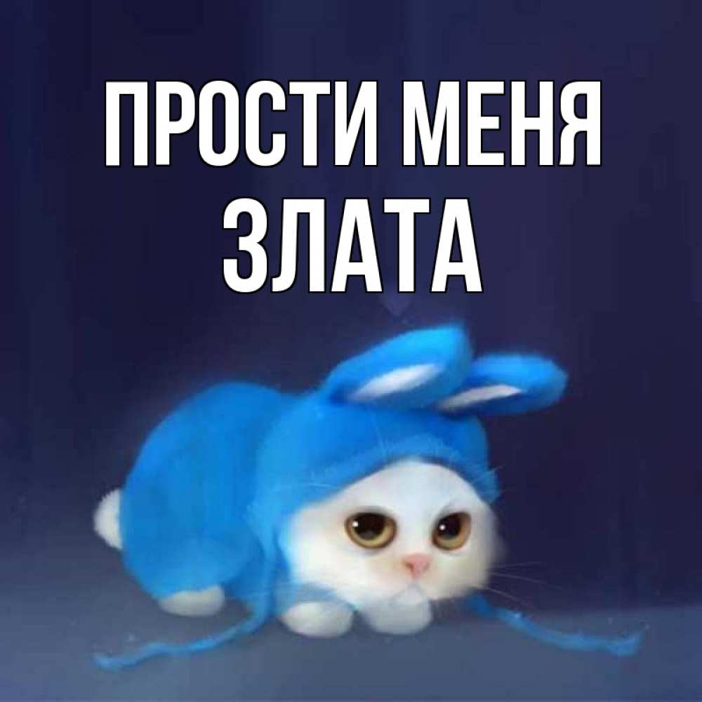 Открытка на каждый день с именем, Злата Прости меня невинный котозай просит прощения Прикольная открытка с пожеланием онлайн скачать бесплатно 