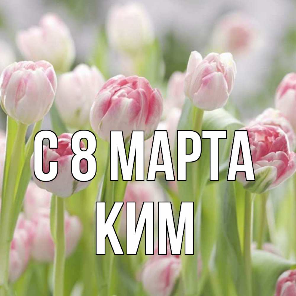 Открытка на каждый день с именем, Ким С 8 МАРТА цветы Прикольная открытка с пожеланием онлайн скачать бесплатно 