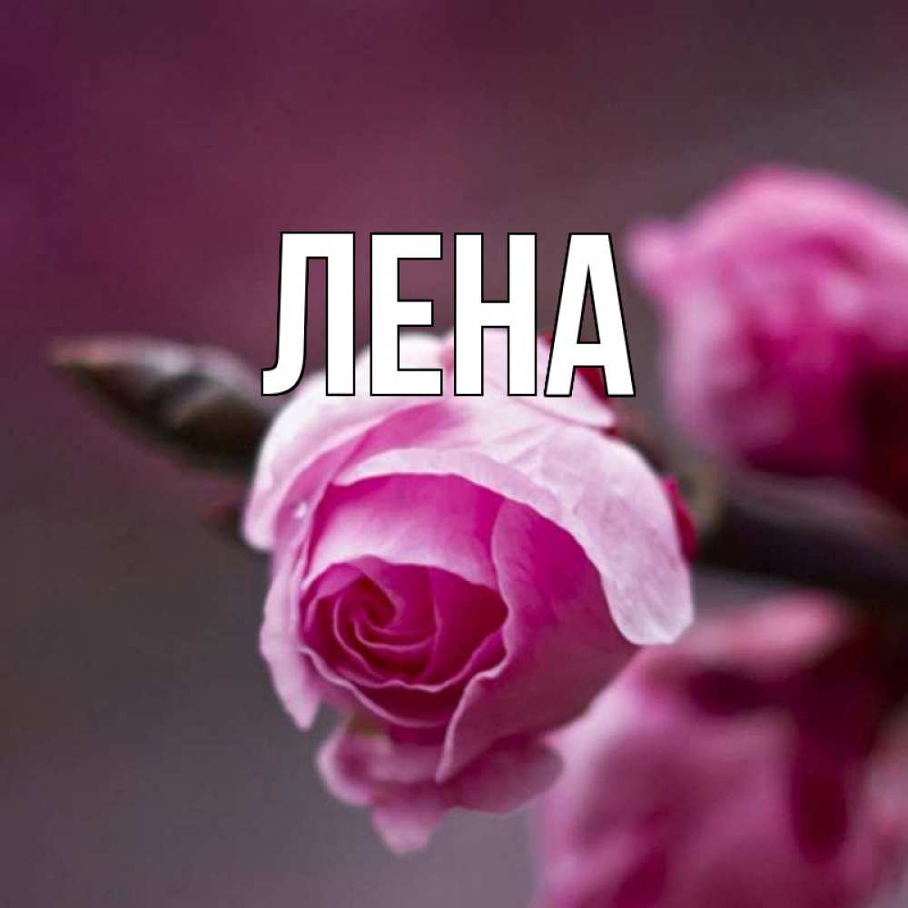 Открытка на каждый день с именем, Лена Главная весна Прикольная открытка с пожеланием онлайн скачать бесплатно 