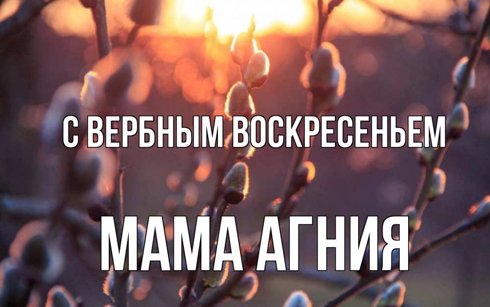 Открытка на каждый день с именем, Мама-Агния С вербным воскресеньем верба Прикольная открытка с пожеланием онлайн скачать бесплатно 