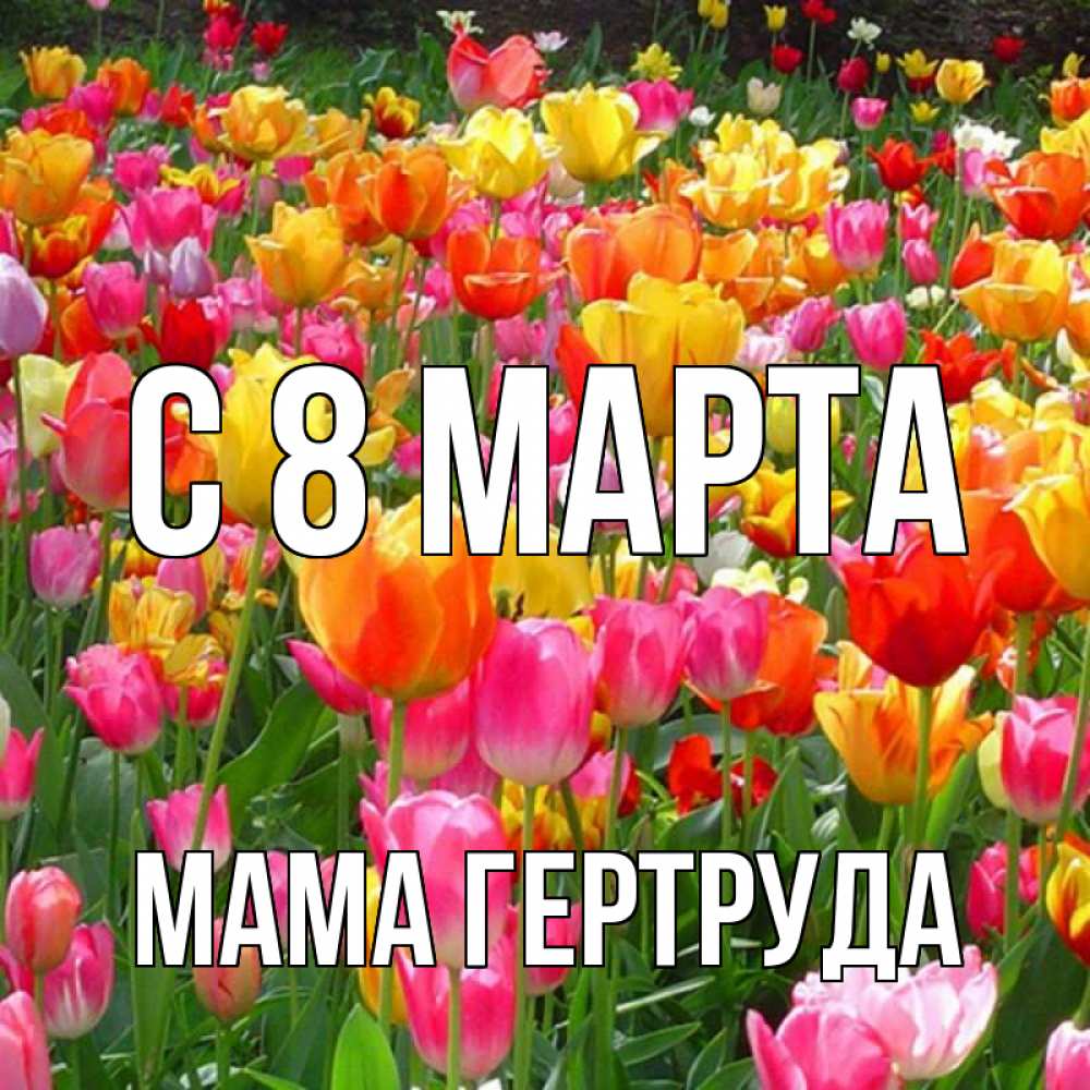 Открытка на каждый день с именем, Мама-Гертруда С 8 МАРТА на международный женский день Прикольная открытка с пожеланием онлайн скачать бесплатно 