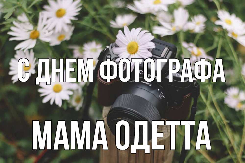 Открытка на каждый день с именем, Мама-Одетта С днем фотографа с днем фотографа Прикольная открытка с пожеланием онлайн скачать бесплатно 
