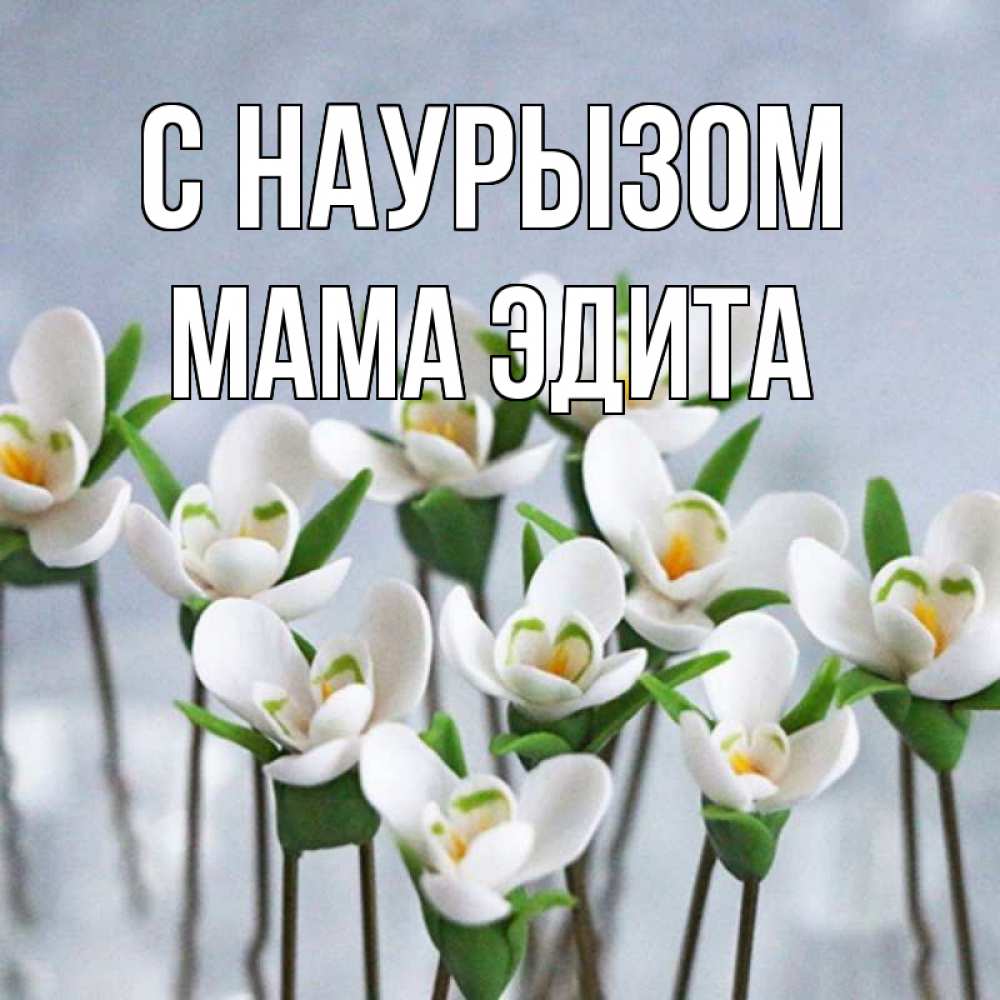 Открытка на каждый день с именем, Мама-Эдита С наурызом весенние цветы Прикольная открытка с пожеланием онлайн скачать бесплатно 