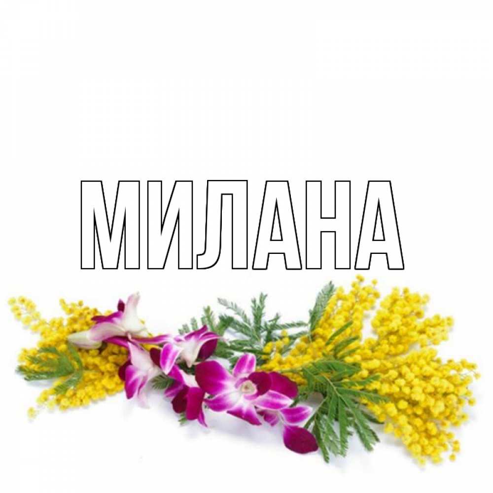Открытка на каждый день с именем, Милана Главная открытка  наурыз с цветами  1 Прикольная открытка с пожеланием онлайн скачать бесплатно 