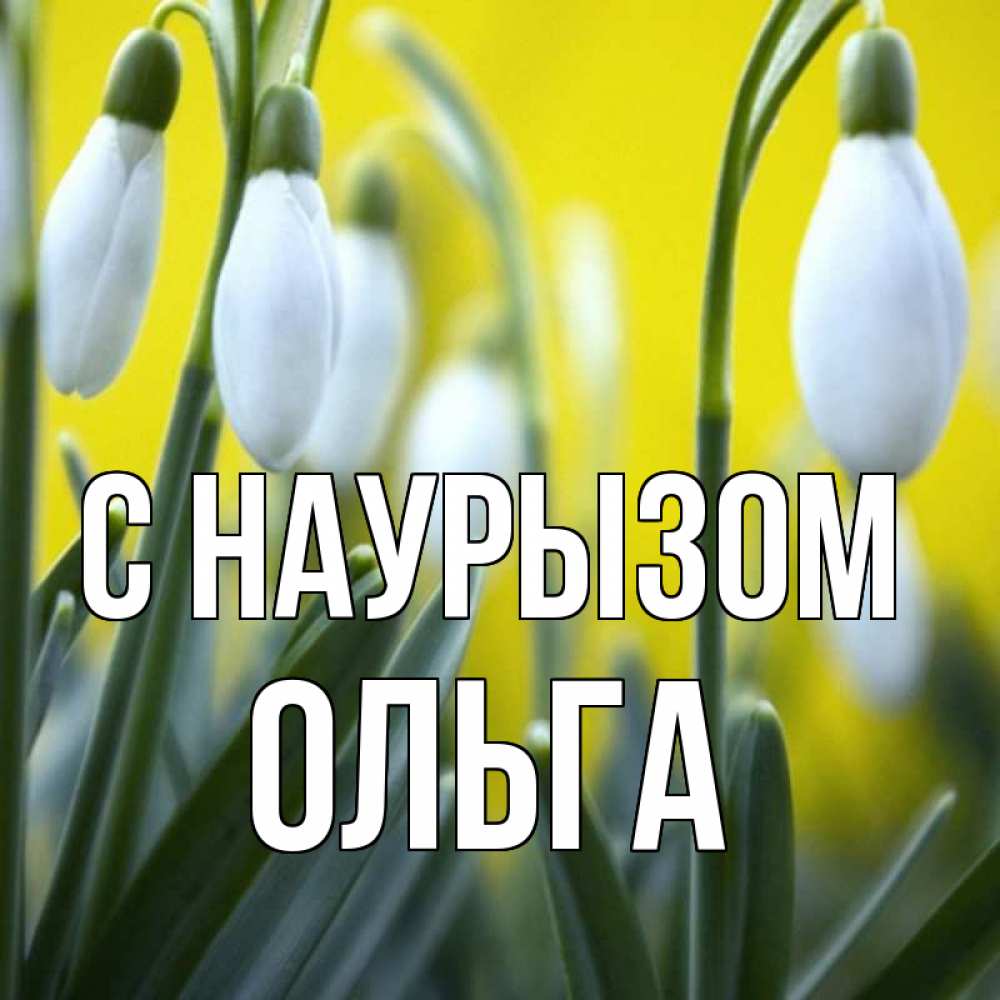 Открытка на каждый день с именем, Ольга С наурызом весенние цветы Прикольная открытка с пожеланием онлайн скачать бесплатно 