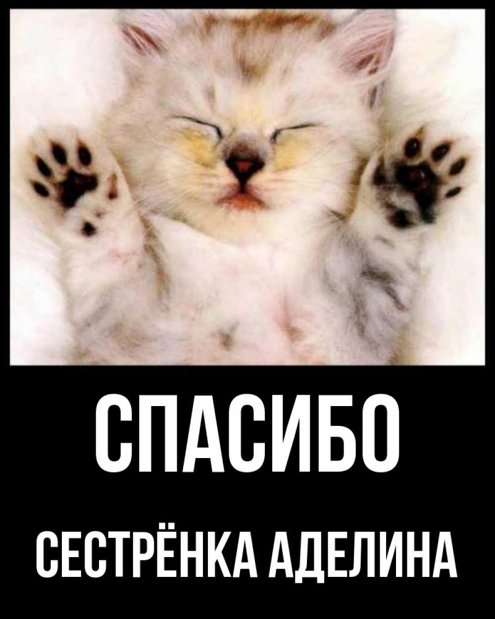 Открытка на каждый день с именем, Сестрёнка-Аделина Спасибо маленький котенок Прикольная открытка с пожеланием онлайн скачать бесплатно 