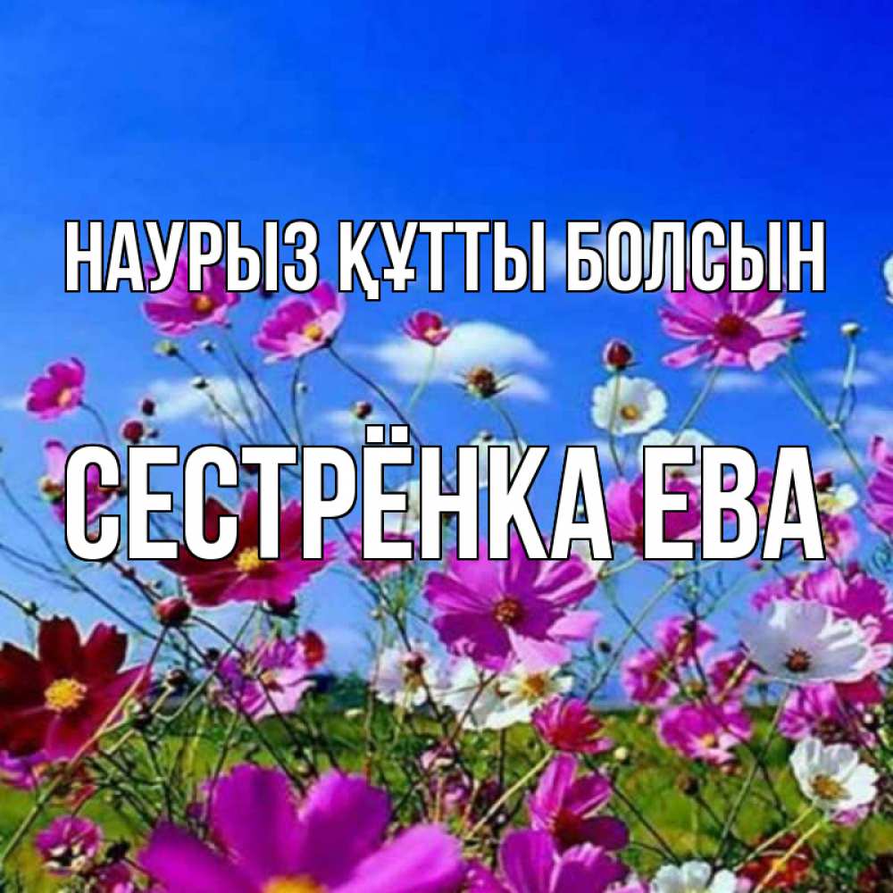 Открытка на каждый день с именем, Сестрёнка-Ева Наурыз құтты болсын цветы Прикольная открытка с пожеланием онлайн скачать бесплатно 