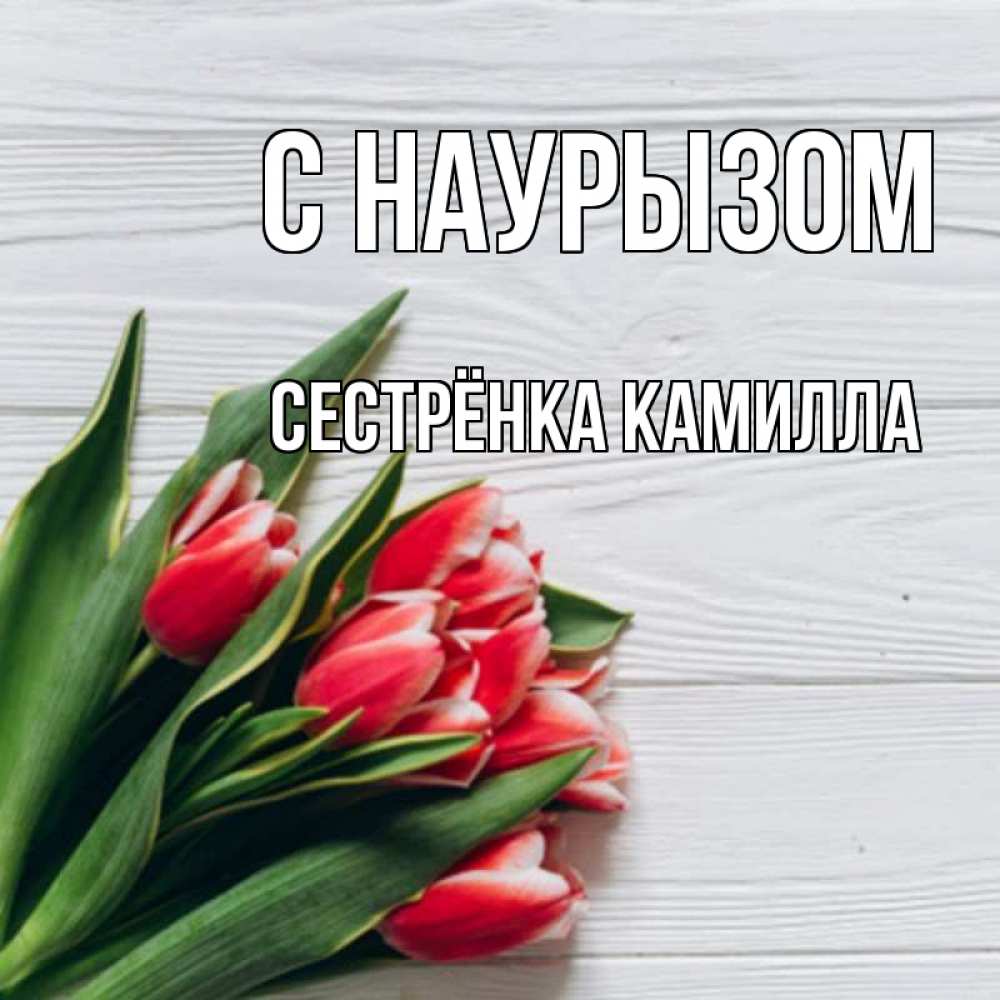 Открытка на каждый день с именем, Сестрёнка-Камилла С наурызом весна 2 Прикольная открытка с пожеланием онлайн скачать бесплатно 