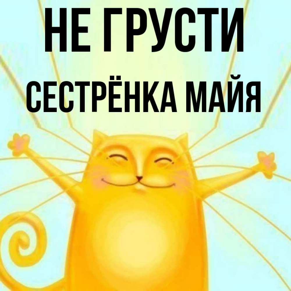 Открытка на каждый день с именем, Сестрёнка-Майя Не грусти обнимашки усатые Прикольная открытка с пожеланием онлайн скачать бесплатно 