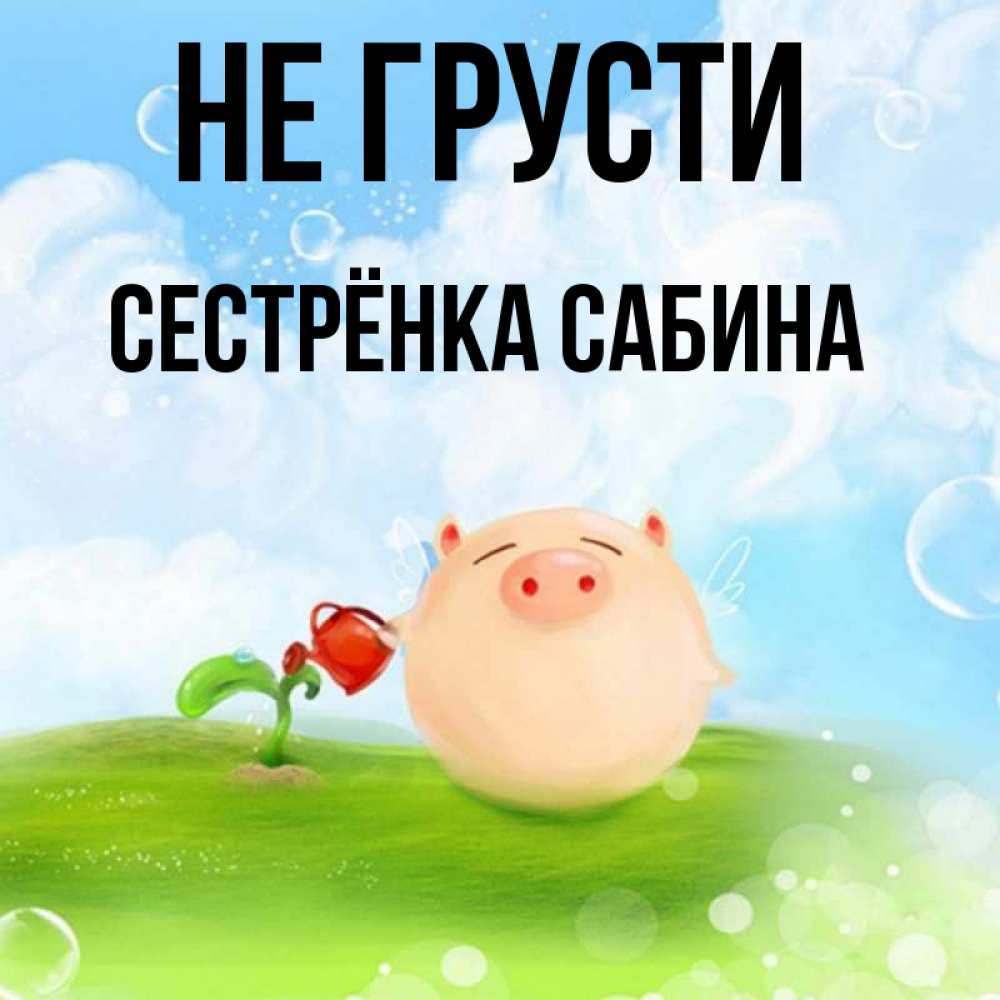 Открытка на каждый день с именем, Сестрёнка-Сабина Не грусти поливает цветок порося Прикольная открытка с пожеланием онлайн скачать бесплатно 