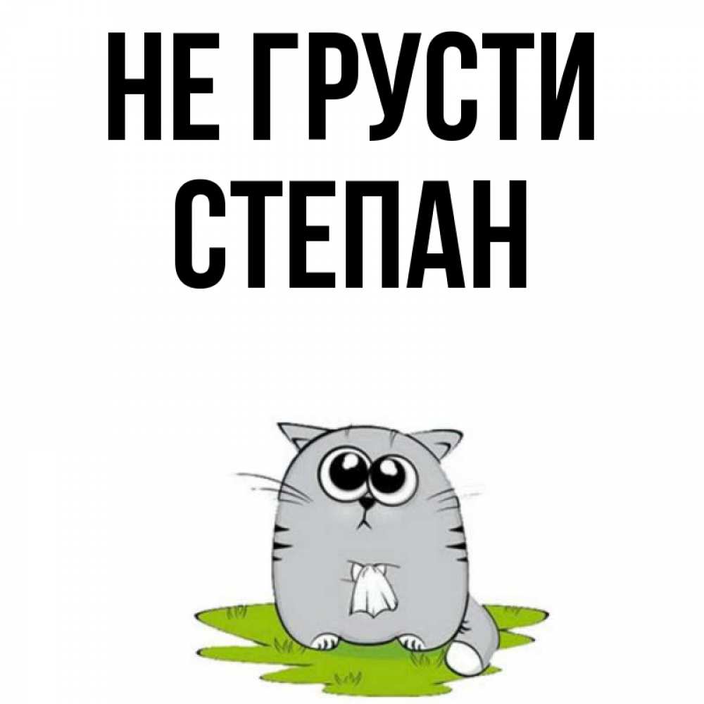 Открытка на каждый день с именем, Степан Не грусти грустный котяра Прикольная открытка с пожеланием онлайн скачать бесплатно 