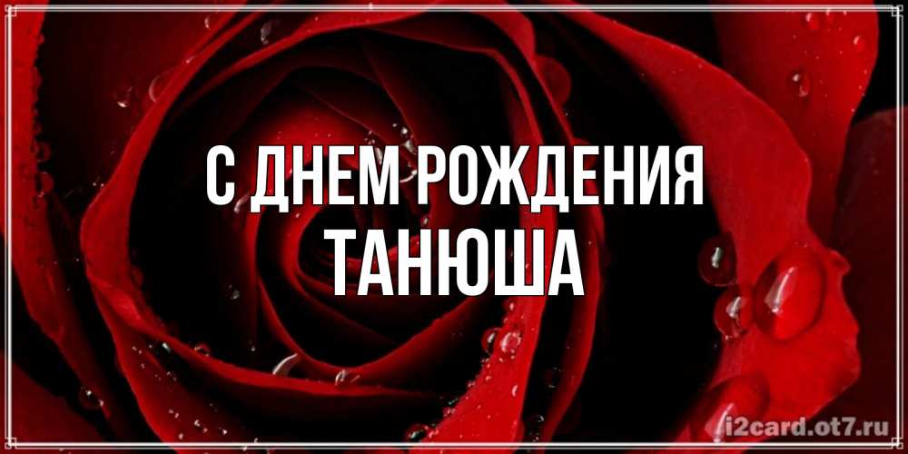 Открытка на каждый день с именем, Танюша С днем рождения крупная бордовая роза Прикольная открытка с пожеланием онлайн скачать бесплатно 