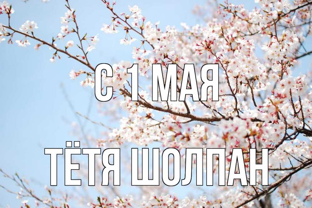 Открытка на каждый день с именем, Тётя-Шолпан С 1 мая С 1 мая Прикольная открытка с пожеланием онлайн скачать бесплатно 