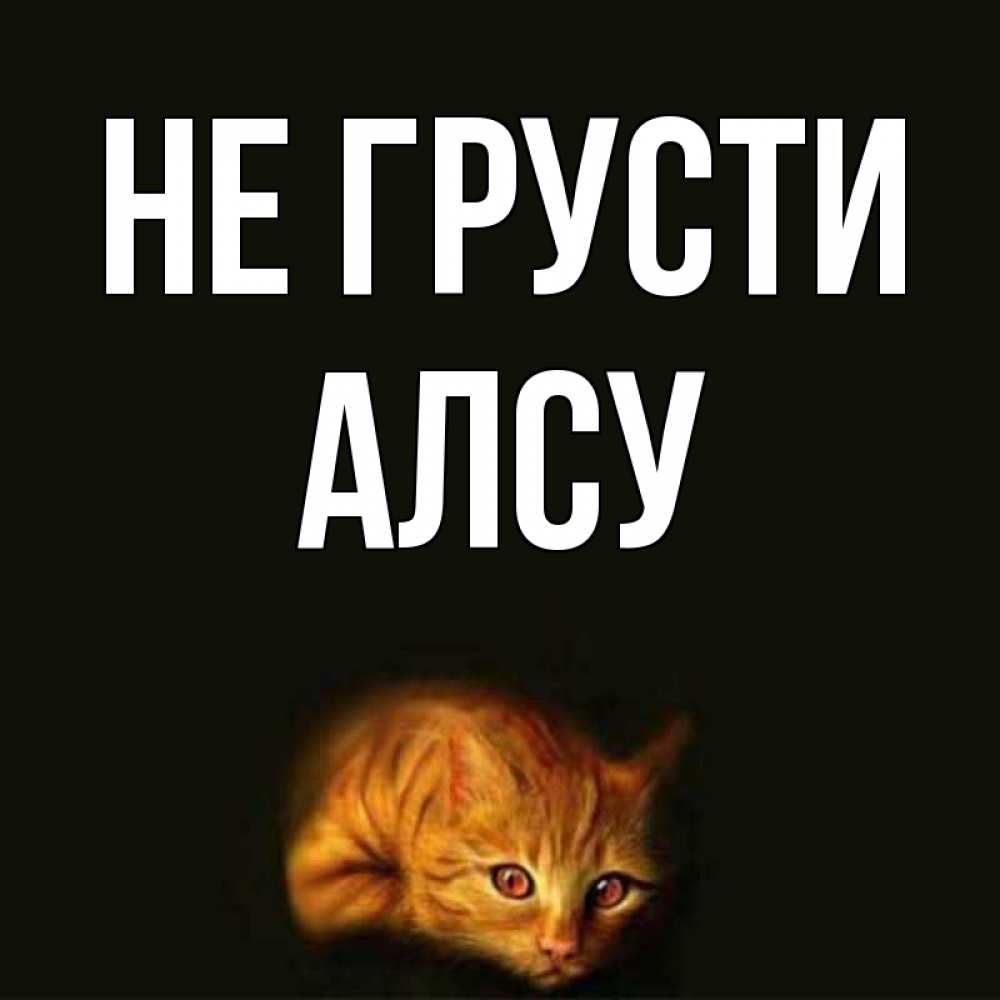 Открытка на каждый день с именем, Алсу Не грусти лежащий кот в темноте Прикольная открытка с пожеланием онлайн скачать бесплатно 