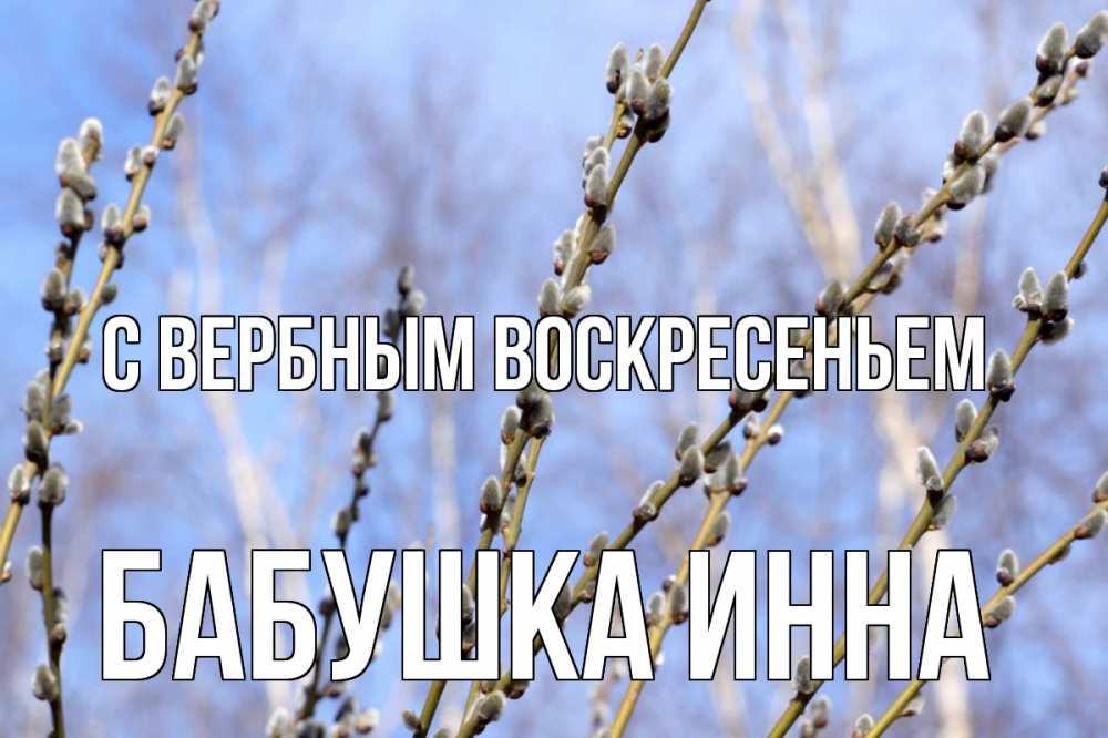 Открытка на каждый день с именем, Бабушка-Инна С вербным воскресеньем верба Прикольная открытка с пожеланием онлайн скачать бесплатно 