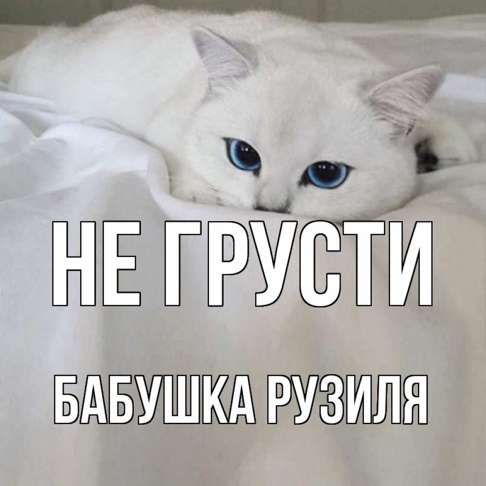 Открытка на каждый день с именем, Бабушка-Рузиля Не грусти белый кот с голубыми глазами на белоснежной кровати Прикольная открытка с пожеланием онлайн скачать бесплатно 