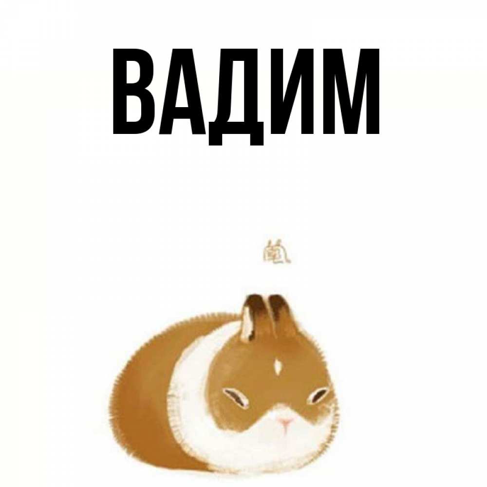 Открытка на каждый день с именем, Вадим Главная коричнево белый домашний питомец Прикольная открытка с пожеланием онлайн скачать бесплатно 