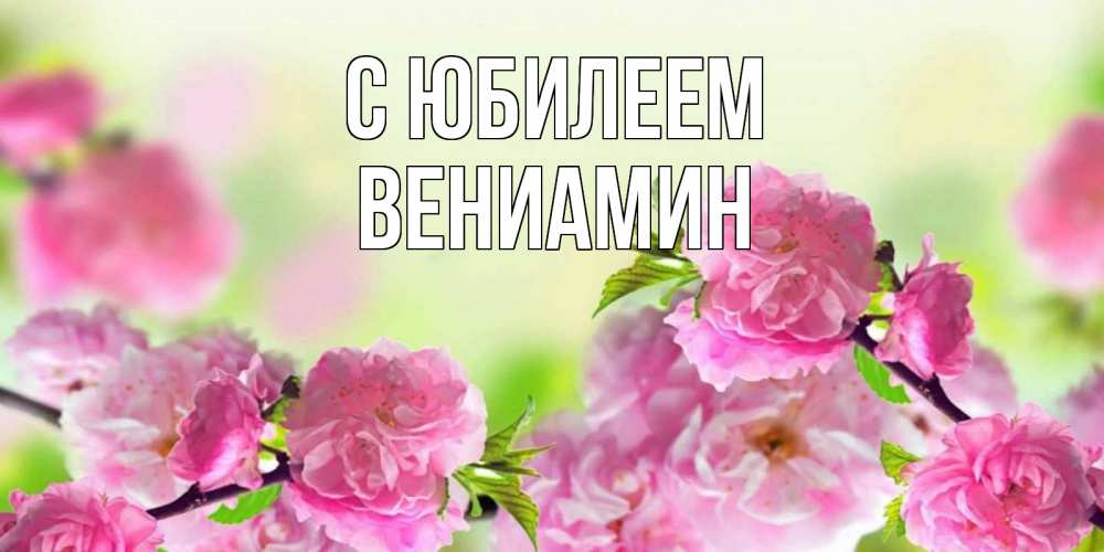 Открытка на каждый день с именем, Вениамин С юбилеем веточки с цветками Прикольная открытка с пожеланием онлайн скачать бесплатно 