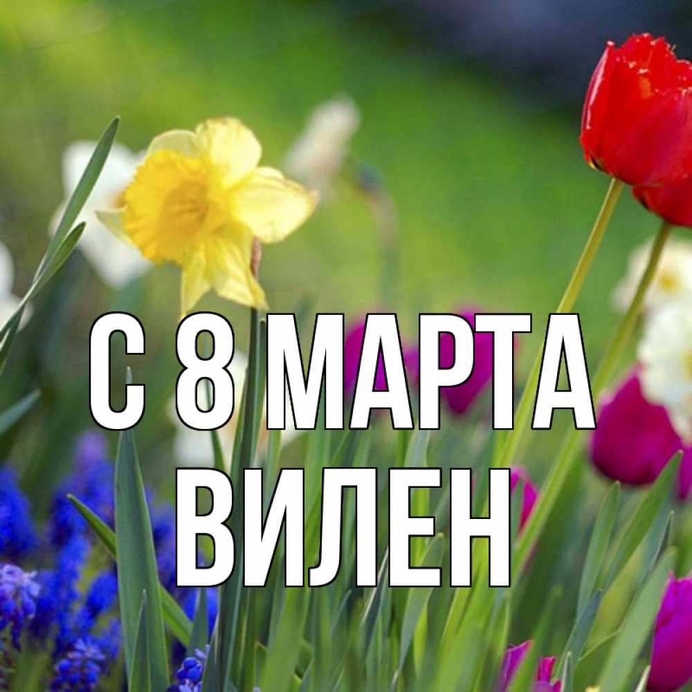 Открытка на каждый день с именем, Вилен С 8 МАРТА международный женский день 3 Прикольная открытка с пожеланием онлайн скачать бесплатно 