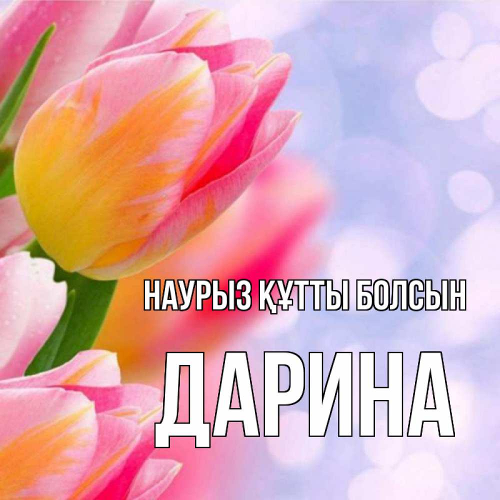 Открытка на каждый день с именем, Дарина Наурыз құтты болсын тюльпаны 2 Прикольная открытка с пожеланием онлайн скачать бесплатно 