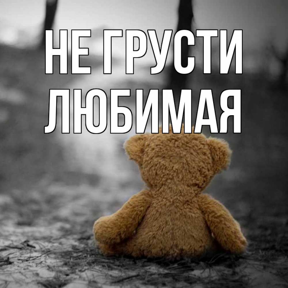 Открытка на каждый день с именем, ЛЮБИМАЯ Не грусти медведь со спин Прикольная открытка с пожеланием онлайн скачать бесплатно 