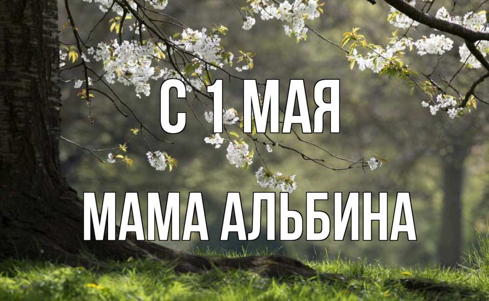 Открытка на каждый день с именем, Мама-Альбина С 1 мая С 1 мая Прикольная открытка с пожеланием онлайн скачать бесплатно 