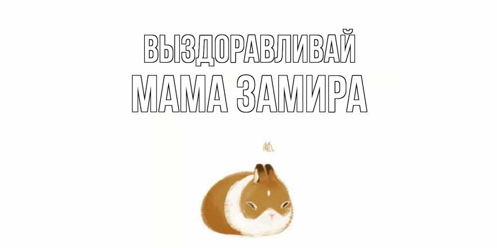 Открытка на каждый день с именем, Мама-Замира Выздоравливай морская свинка на открытке с пожеланиями не болеть Прикольная открытка с пожеланием онлайн скачать бесплатно 