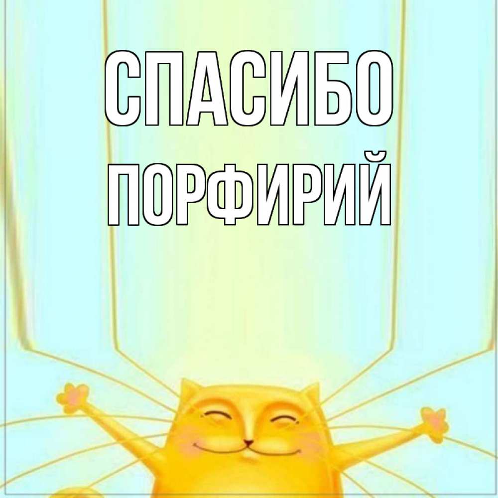 Открытка на каждый день с именем, Порфирий Спасибо кот с усами благодарит Прикольная открытка с пожеланием онлайн скачать бесплатно 