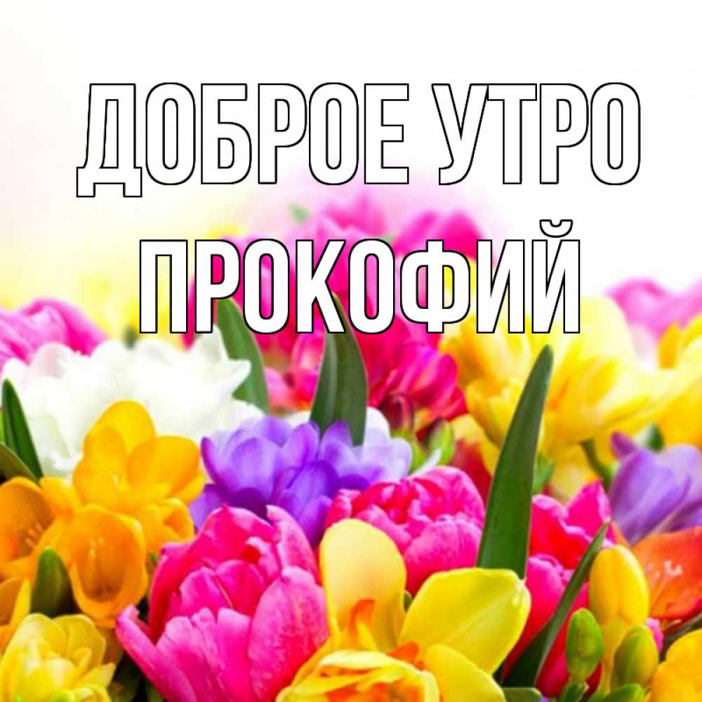 Открытка на каждый день с именем, Прокофий Доброе утро создать открытку со свое подписью Прикольная открытка с пожеланием онлайн скачать бесплатно 