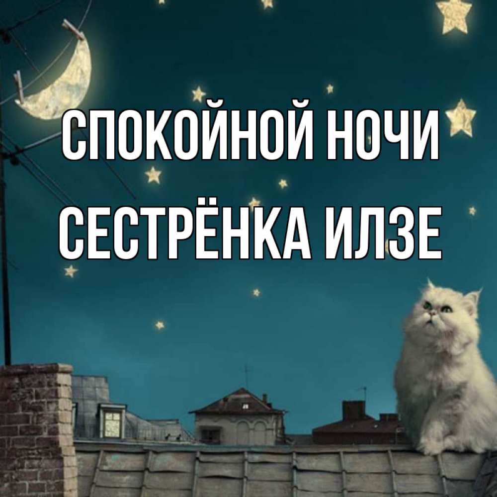 Открытка на каждый день с именем, Сестрёнка-Илзе Спокойной ночи белый кот сидит на крыше Прикольная открытка с пожеланием онлайн скачать бесплатно 