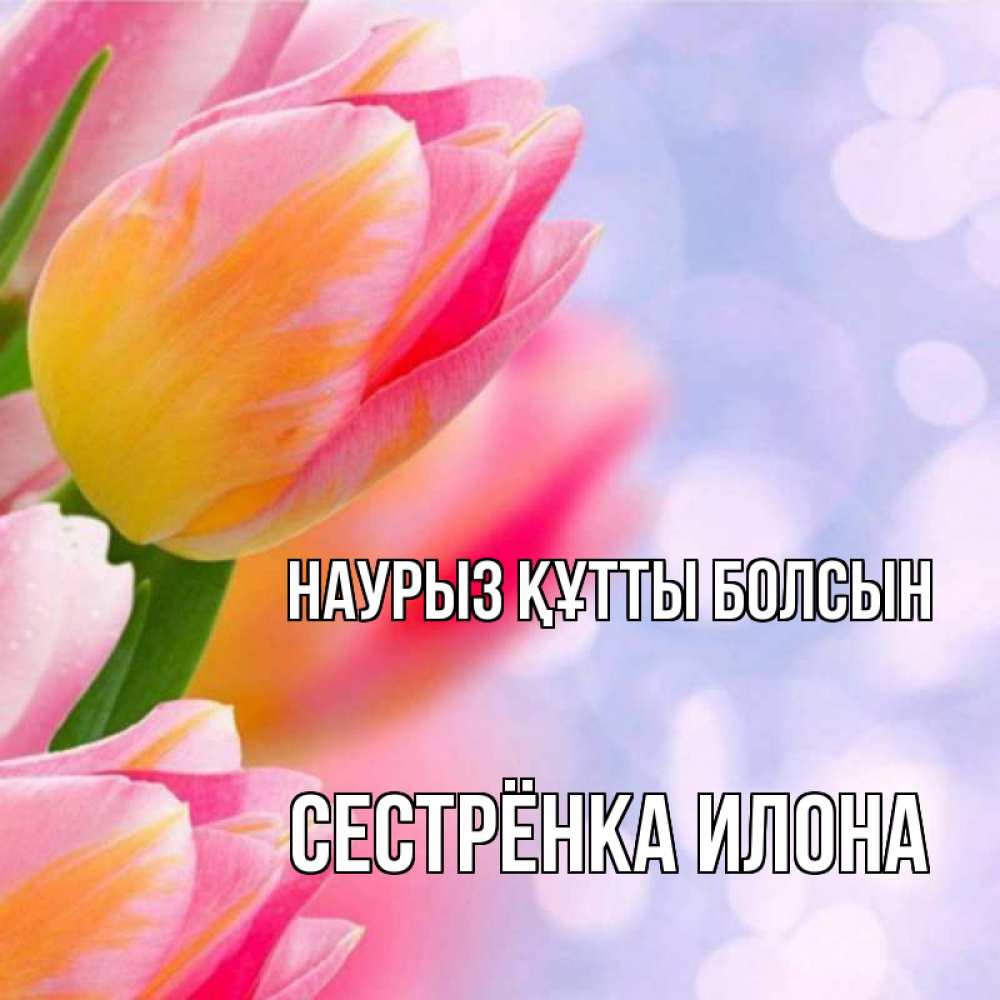 Открытка на каждый день с именем, Сестрёнка-Илона Наурыз құтты болсын тюльпаны 2 Прикольная открытка с пожеланием онлайн скачать бесплатно 