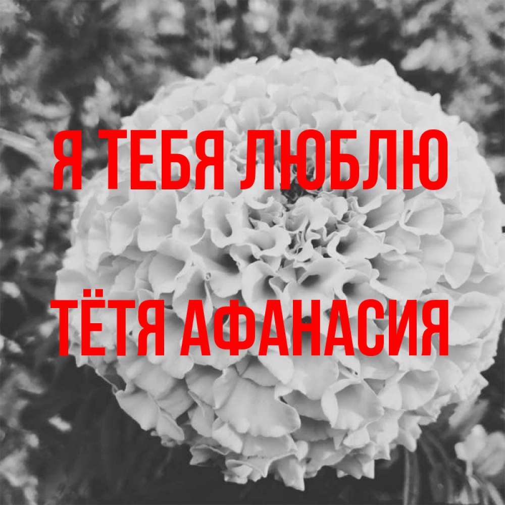 Открытка на каждый день с именем, Тётя-Афанасия Я тебя люблю подпись Прикольная открытка с пожеланием онлайн скачать бесплатно 