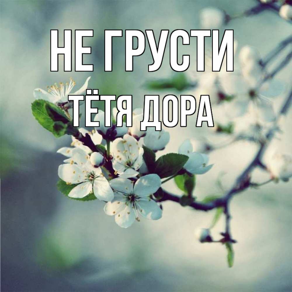 Открытка на каждый день с именем, Тётя-Дора Не грусти яблоня в цвету 1 Прикольная открытка с пожеланием онлайн скачать бесплатно 