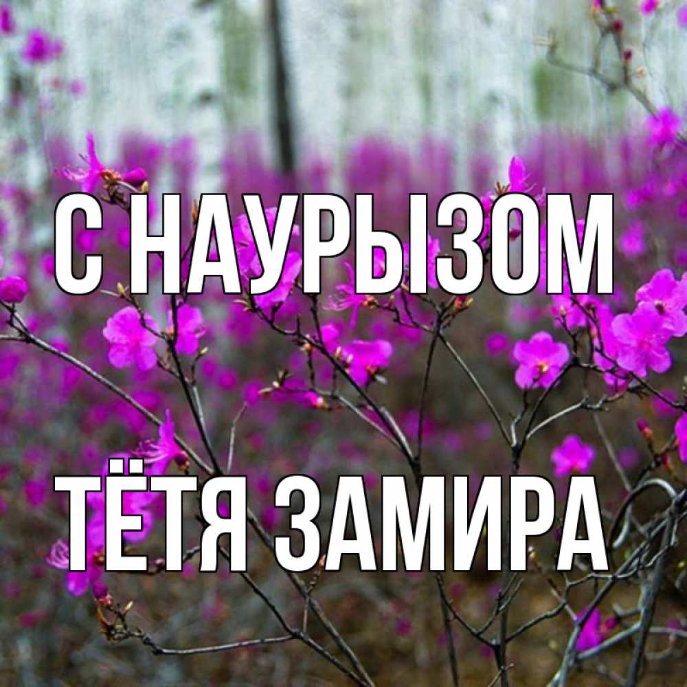 Открытка на каждый день с именем, Тётя-Замира С наурызом дикие цветы Прикольная открытка с пожеланием онлайн скачать бесплатно 