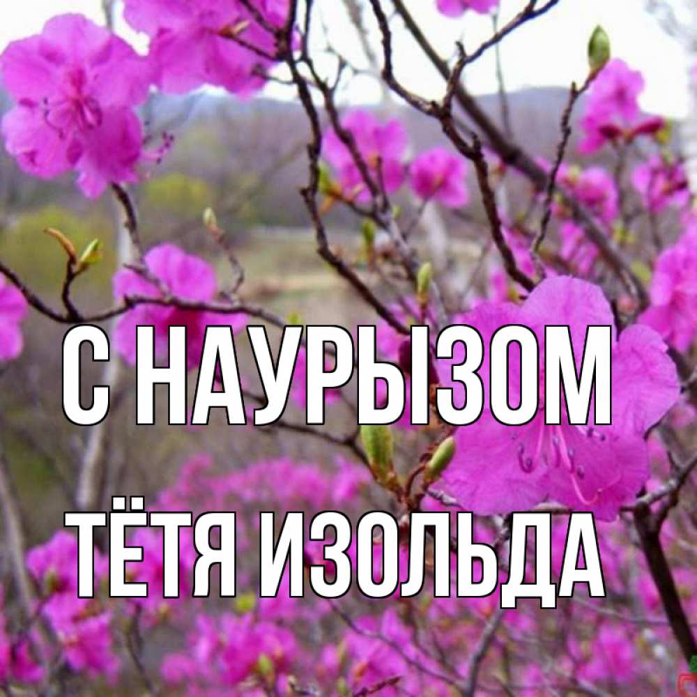 Открытка на каждый день с именем, Тётя-Изольда С наурызом праздник весны наурыз Прикольная открытка с пожеланием онлайн скачать бесплатно 