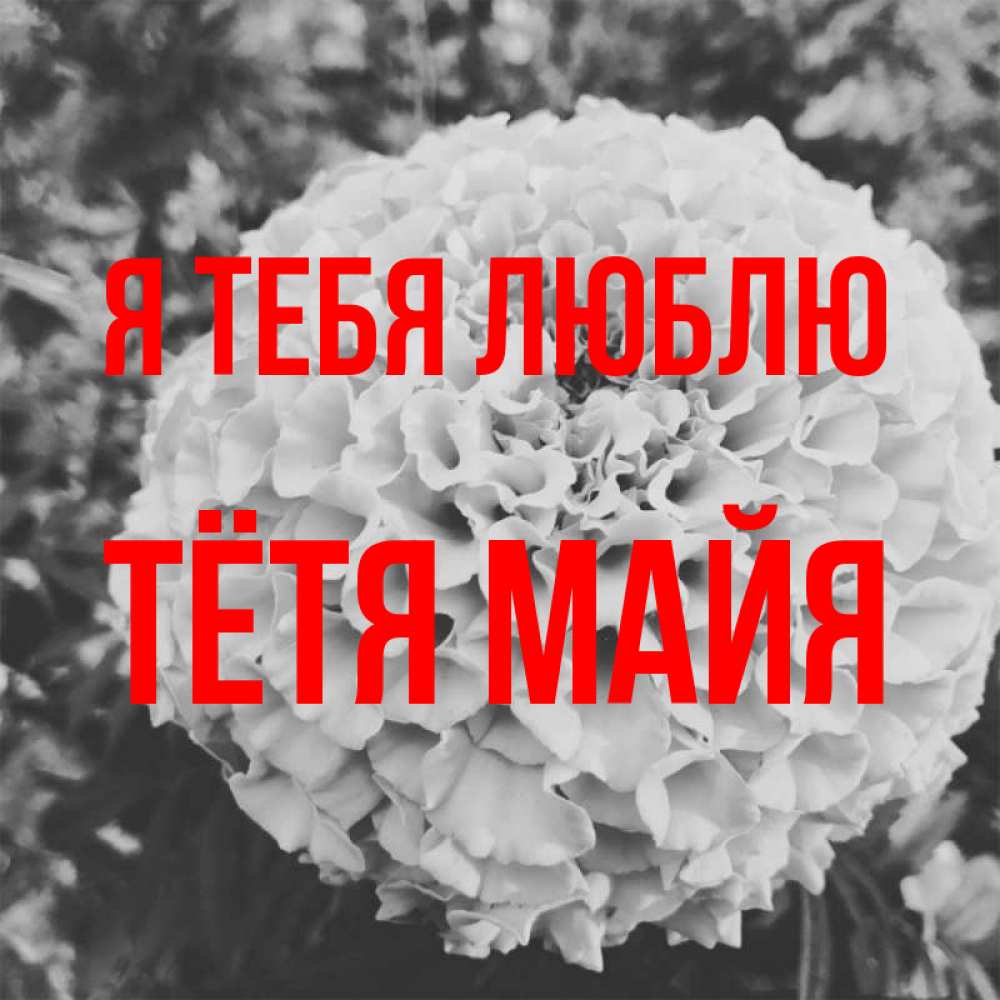 Открытка на каждый день с именем, Тётя-Майя Я тебя люблю подпись Прикольная открытка с пожеланием онлайн скачать бесплатно 