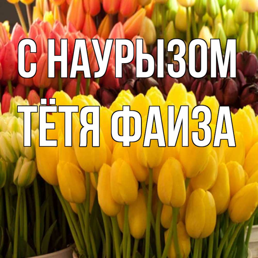 Открытка на каждый день с именем, Тётя-Фаиза С наурызом цветы Прикольная открытка с пожеланием онлайн скачать бесплатно 
