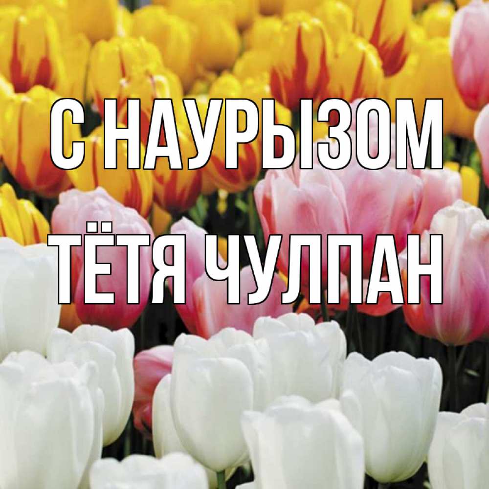 Открытка на каждый день с именем, Тётя-Чулпан С наурызом разноцветные цветы Прикольная открытка с пожеланием онлайн скачать бесплатно 