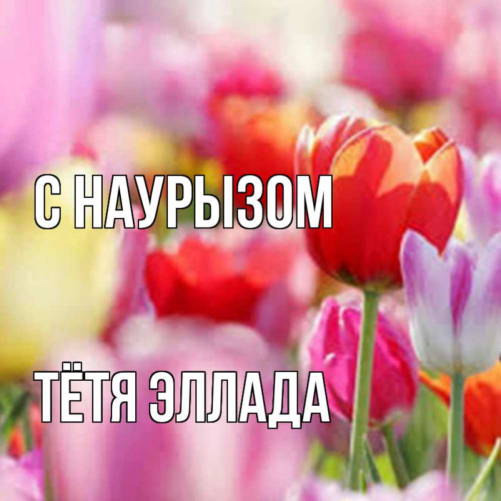 Открытка на каждый день с именем, Тётя-Эллада С наурызом праздник весны наурыз 67 Прикольная открытка с пожеланием онлайн скачать бесплатно 