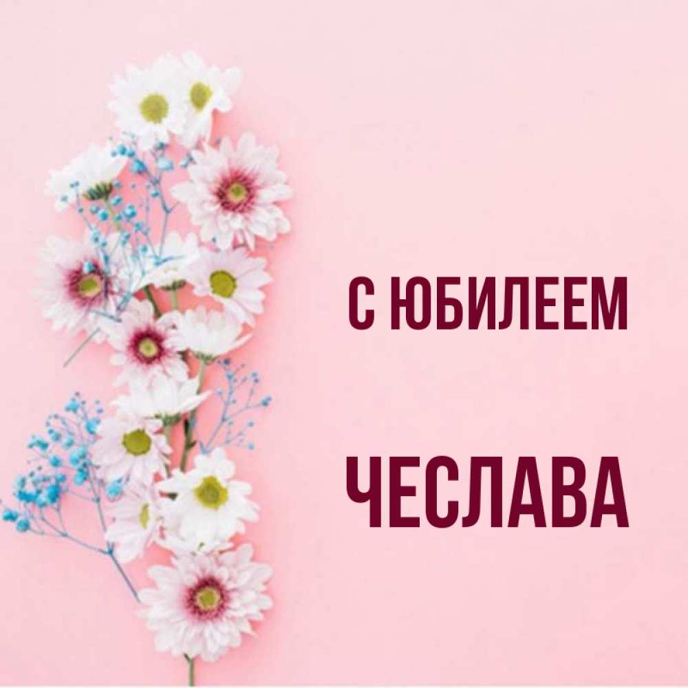Открытка на каждый день с именем, Чеслава С юбилеем Родная моя с днем рождения тебя картинка с цветами белыми и голубыми Прикольная открытка с пожеланием онлайн скачать бесплатно 