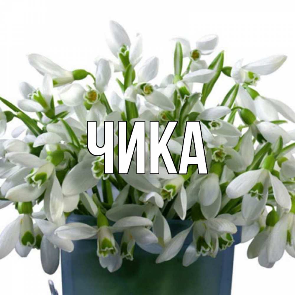 Открытка на каждый день с именем, Чика Главная цветы к наурызу новый год в Казахстане Прикольная открытка с пожеланием онлайн скачать бесплатно 