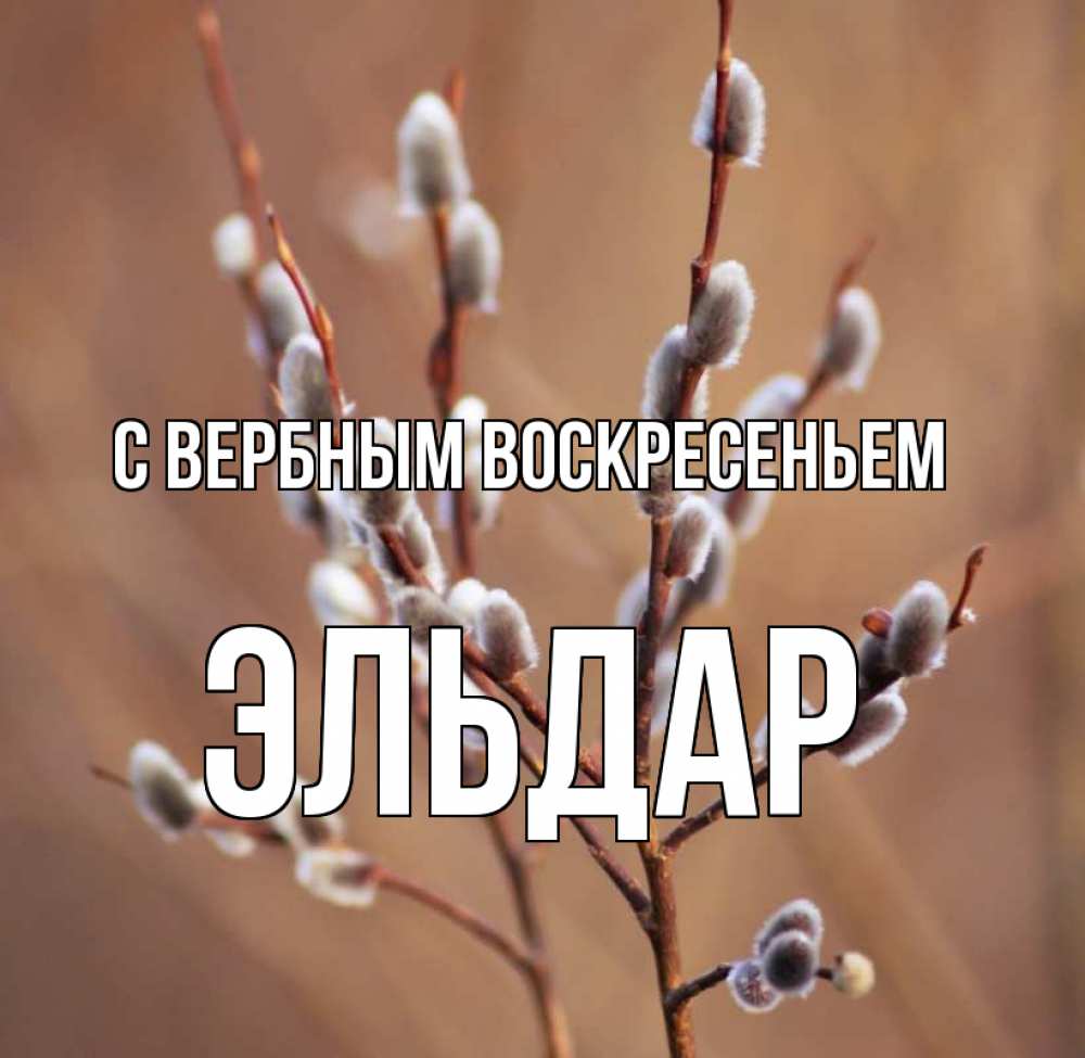 Открытка на каждый день с именем, Эльдар С вербным воскресеньем верба Прикольная открытка с пожеланием онлайн скачать бесплатно 